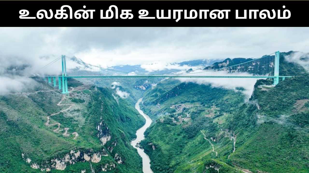 வெறும் 2 நிமிடங்களான 2 மணி நேர பயணம்.. உலகின் மிக உயர்மான பாலம் சீனாவில் திறப்பு.. வியக்க வைக்கும்  தகவல்கள்!