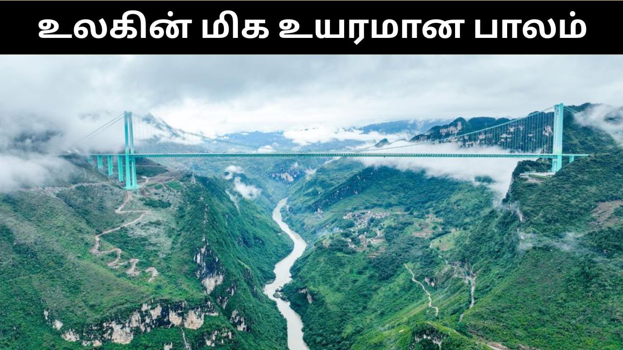 வெறும் 2 நிமிடங்களான 2 மணி நேர பயணம்.. உலகின் மிக உயர்மான பாலம் சீனாவில் திறப்பு.. வியக்க வைக்கும் தகவல்கள்! வெறும் 2 நிமிடங்களான 2 மணி நேர பயணம்.. உலகின் மிக உயர்மான பாலம் சீனாவில் திறப்பு.. வியக்க வைக்கும் தகவல்கள்!