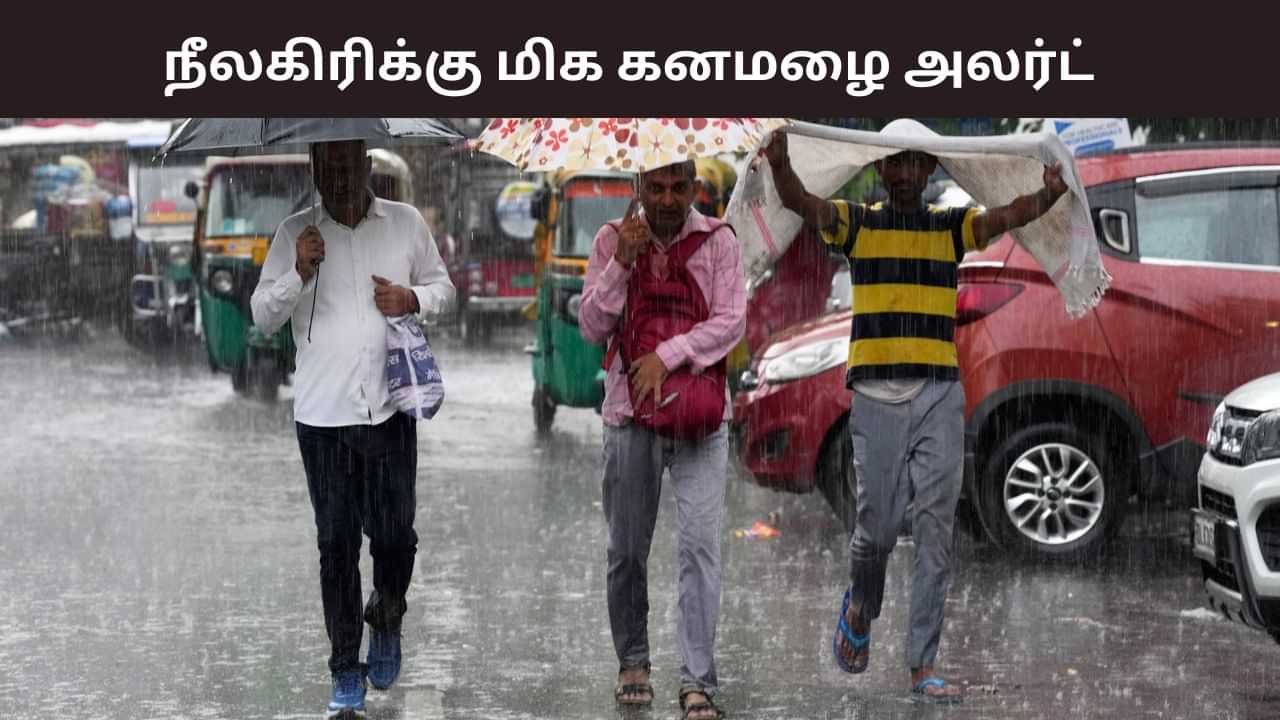 நீலகிரிக்கு ஆரஞ்சு அலர்ட்.. 10 மாவட்டங்களில் வெளுக்கும் கனமழை.. வானிலை மையம் எச்சரிக்கை நீலகிரிக்கு ஆரஞ்சு அலர்ட்.. 10 மாவட்டங்களில் வெளுக்கும் கனமழை.. வானிலை மையம் எச்சரிக்கை
