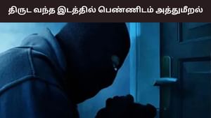 திருட வந்த இடத்தில் பெண்ணிடம் அத்துமீறிய நபர்.. நடந்தது என்ன?