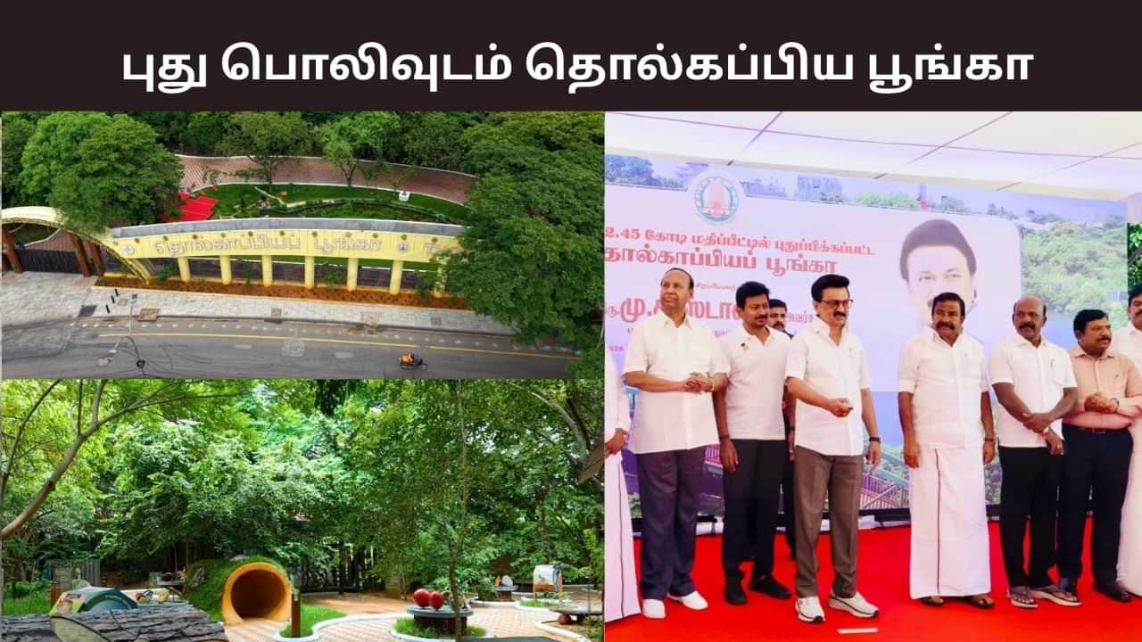 சிட்டிக்கு நடுவே இப்படி ஒரு இடமா? இயற்கை எழில் கொஞ்சும் தொல்காப்பிய பூங்கா.. சிறப்பம்சம், நுழைவு கட்டணம் விவரம் இதோ.. சிட்டிக்கு நடுவே இப்படி ஒரு இடமா? இயற்கை எழில் கொஞ்சும் தொல்காப்பிய பூங்கா.. சிறப்பம்சம், நுழைவு கட்டணம் விவரம் இதோ..
