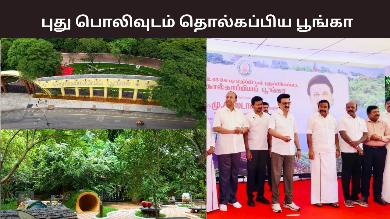 சிட்டிக்கு நடுவே இப்படி ஒரு இடமா? இயற்கை எழில் கொஞ்சும் தொல்காப்பிய பூங்கா.. சிறப்பம்சம், நுழைவு கட்டணம் விவரம் இதோ.. சிட்டிக்கு நடுவே இப்படி ஒரு இடமா? இயற்கை எழில் கொஞ்சும் தொல்காப்பிய பூங்கா.. சிறப்பம்சம், நுழைவு கட்டணம் விவரம் இதோ..