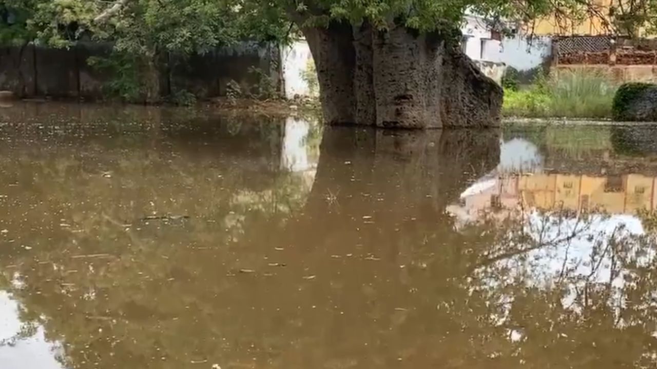தூத்துக்குடி கனமழை.. குளம்போல் காட்சியளிக்கும் தனியார் ஸ்கூல்!