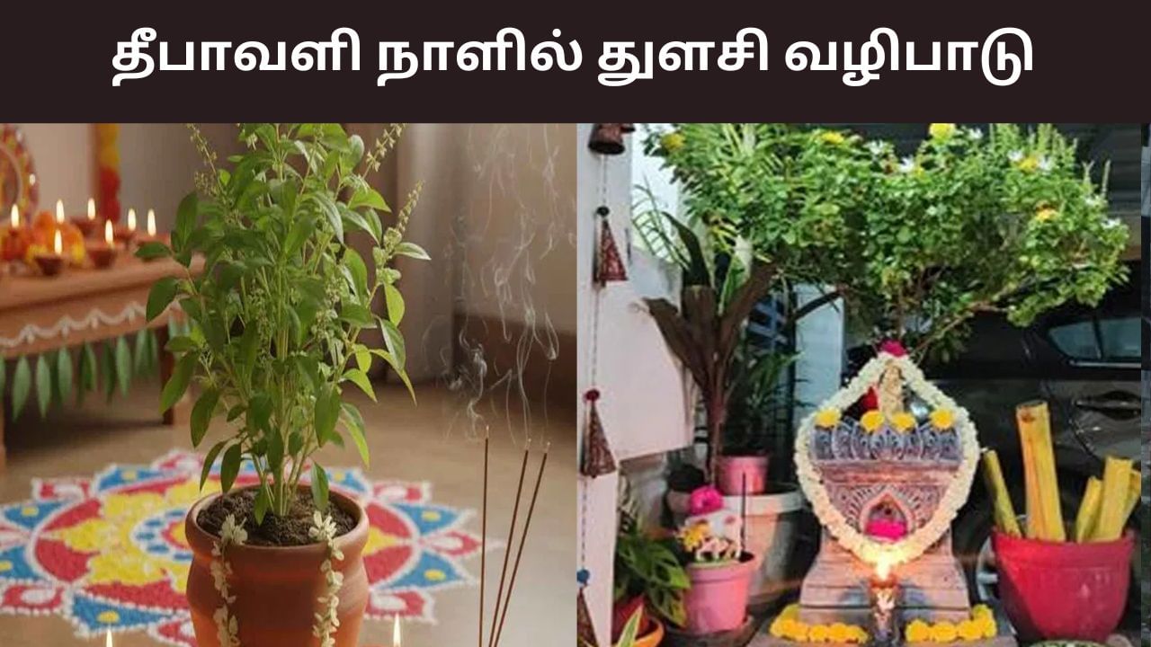 Diwali 2025: தீபாவளி நாளில் துளசி செடியை வழிபாடு.. அதிர்ஷ்டம் கொட்டும்! Diwali 2025: தீபாவளி நாளில் துளசி செடியை வழிபாடு.. அதிர்ஷ்டம் கொட்டும்!