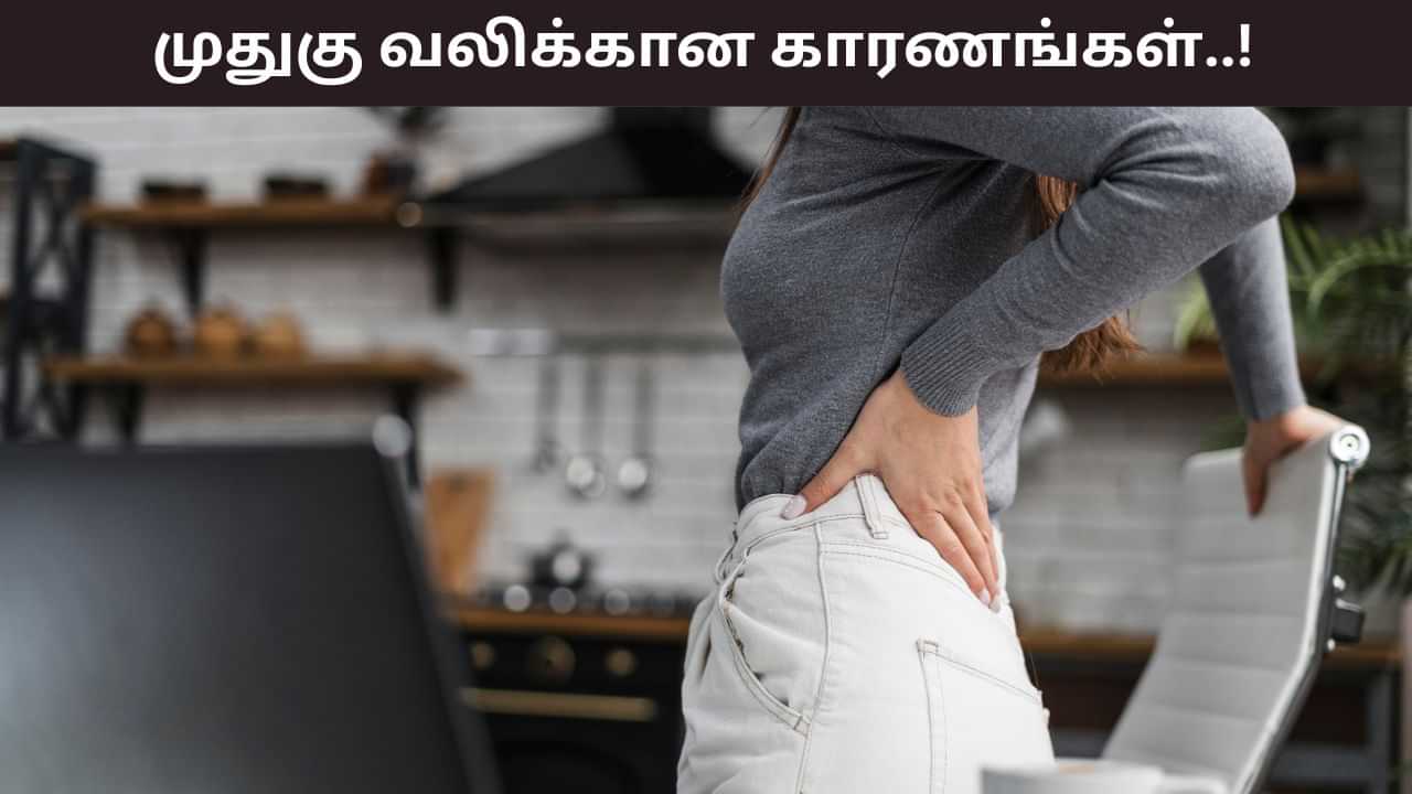 Back Pain: முதுகு வலி ஏற்படுவதற்கான காரணங்களும்.. அதை சுற்றியுள்ள கட்டுக்கதைகளும்! Back Pain: முதுகு வலி ஏற்படுவதற்கான காரணங்களும்.. அதை சுற்றியுள்ள கட்டுக்கதைகளும்!