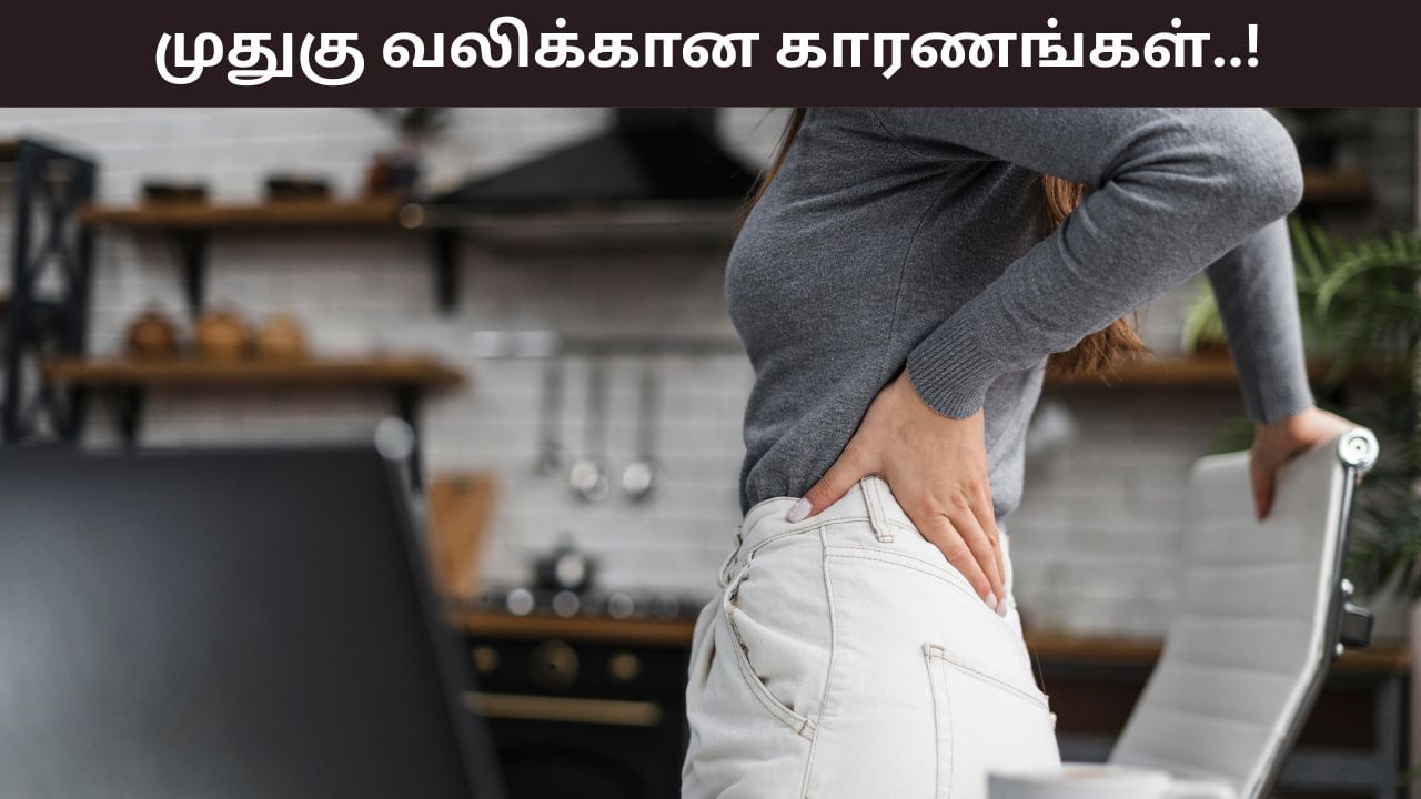 Back Pain: முதுகு வலி ஏற்படுவதற்கான காரணங்களும்.. அதை சுற்றியுள்ள கட்டுக்கதைகளும்! Back Pain: முதுகு வலி ஏற்படுவதற்கான காரணங்களும்.. அதை சுற்றியுள்ள கட்டுக்கதைகளும்!