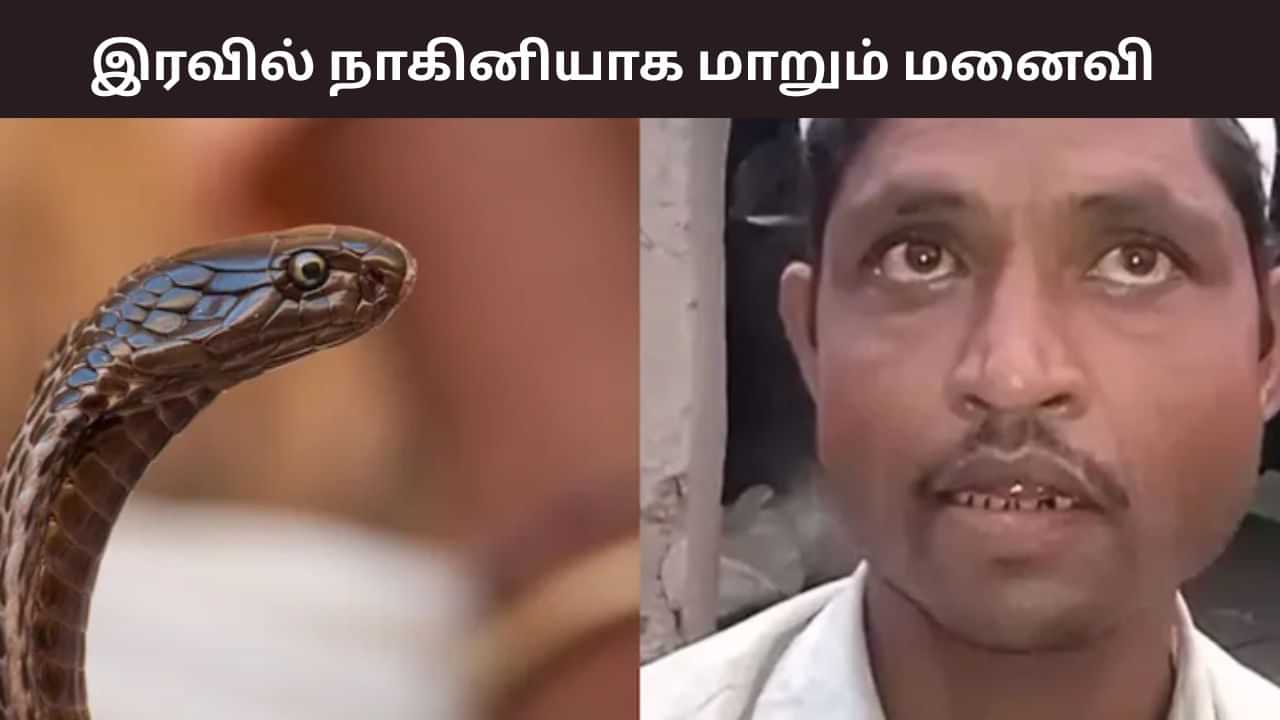 இரவில் நாகினி பாம்பாக மாறும் மனைவி.. அதிர்ந்த கணவர்.. வினோத சம்பவம்!