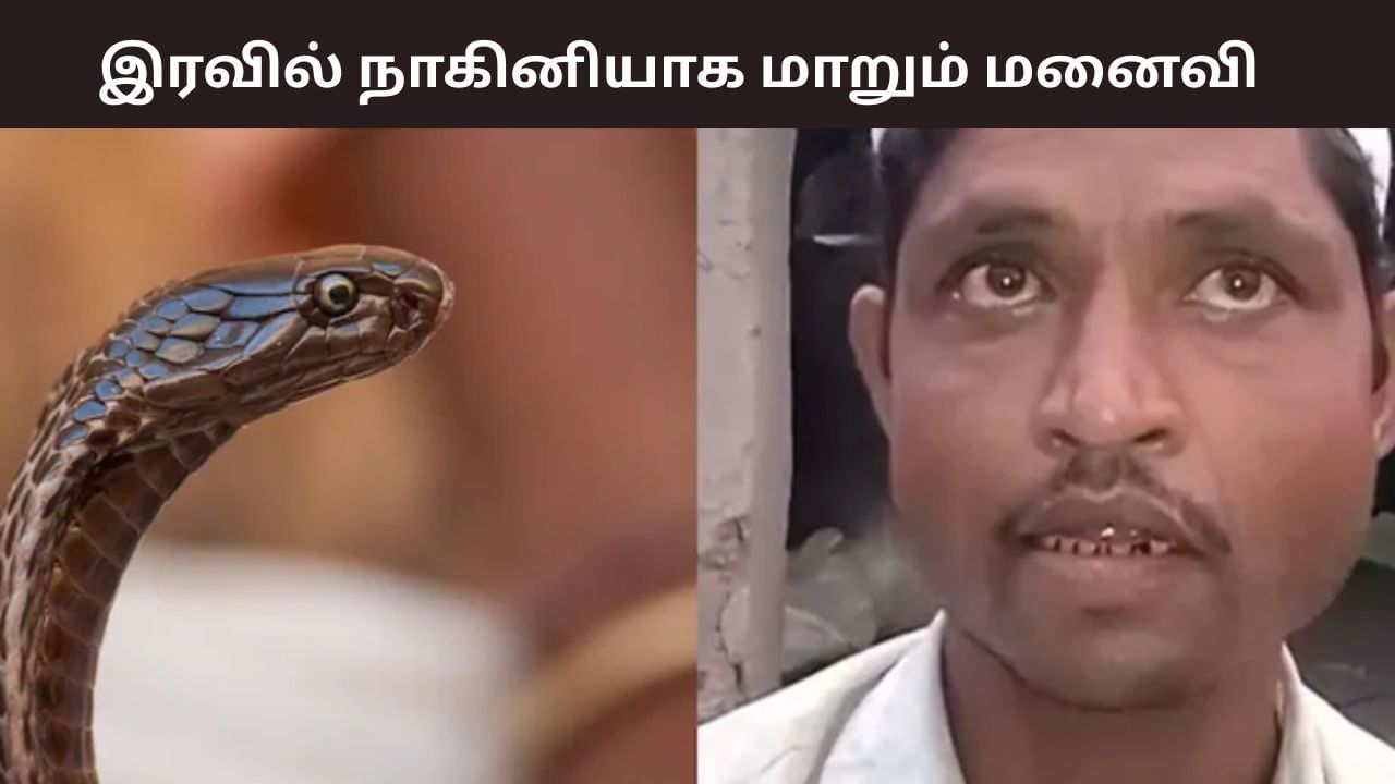 இரவில் நாகினி பாம்பாக மாறும் மனைவி.. அதிர்ந்த கணவர்.. வினோத சம்பவம்! இரவில் நாகினி பாம்பாக மாறும் மனைவி.. அதிர்ந்த கணவர்.. வினோத சம்பவம்!