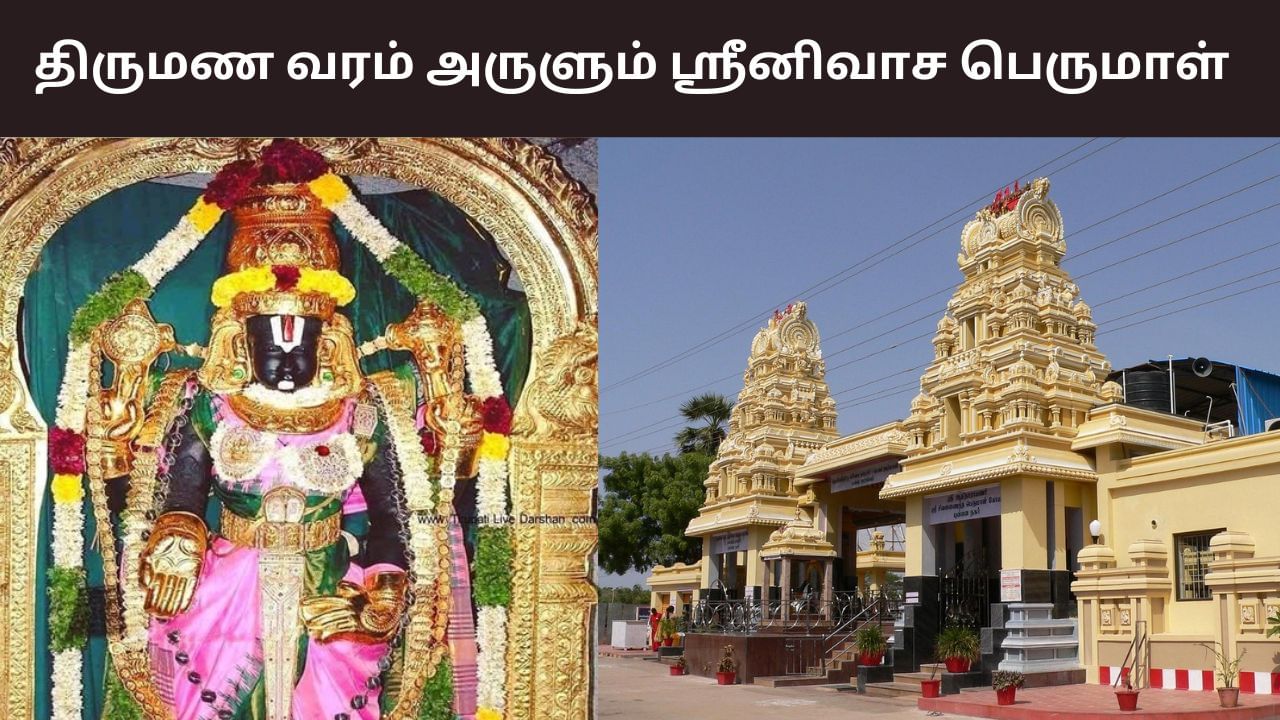 Vana Thirupathi: திருமண வரம் அருளும் புன்னை நகர் ஸ்ரீனிவாச பெருமாள்!