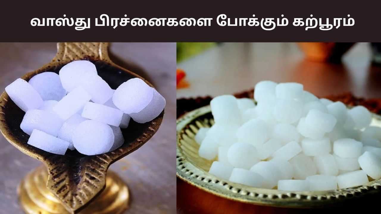 Vastu Tips: வீட்டின் வாஸ்து பிரச்னையை போக்கும் கற்பூரம்.. என்ன செய்யலாம்?
