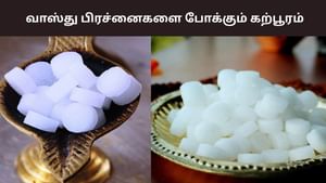 Vastu Tips: வீட்டின் வாஸ்து பிரச்னையை போக்கும் கற்பூரம்.. என்ன செய்யலாம்? Vastu Tips: வீட்டின் வாஸ்து பிரச்னையை போக்கும் கற்பூரம்.. என்ன செய்யலாம்?