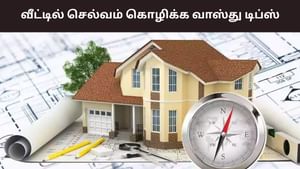 Vastu Tips: நான்கு திசையில் 4 பொருட்கள்.. செல்வம் கொட்டும்..