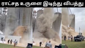 Viral Video : சோயா பீன்ஸ் உருளை இடிந்து விழுந்து விபத்து.. நொடி பொழுதில் உயிர் தப்பிய ஊழியர்கள்! Viral Video : சோயா பீன்ஸ் உருளை இடிந்து விழுந்து விபத்து.. நொடி பொழுதில் உயிர் தப்பிய ஊழியர்கள்!