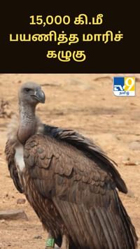 15,000 கி.மீ பயணித்த மாரிச் கழுகு...
