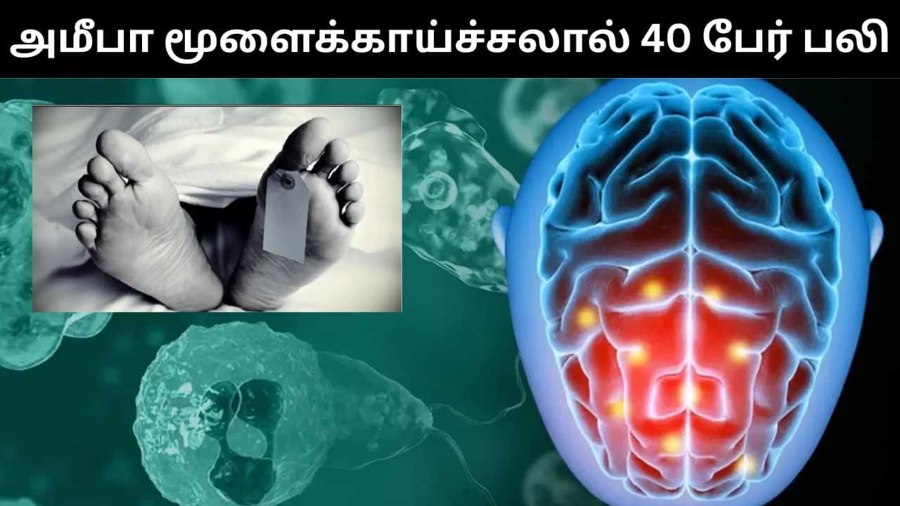கேரளாவில் வேகமாக பரவும் அமீபா மூளைக்காய்ச்சல்.. பலி எண்ணிக்கை 40 ஆக உயர்வு! கேரளாவில் வேகமாக பரவும் அமீபா மூளைக்காய்ச்சல்.. பலி எண்ணிக்கை 40 ஆக உயர்வு!