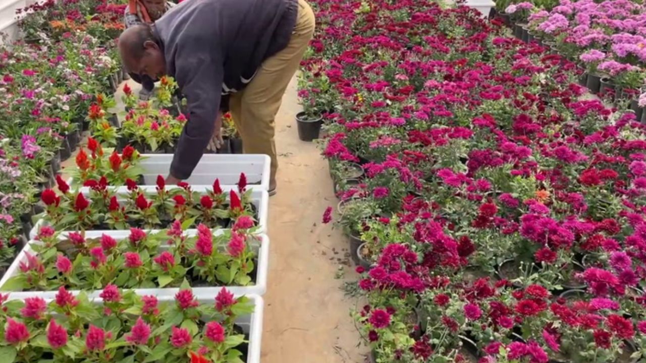 அயோத்தி ராமர் கோயிலில் கொடியேற்ற விழா.. வந்தடைந்த ஏராளமான மலர்கள்..! அயோத்தி ராமர் கோயிலில் கொடியேற்ற விழா.. வந்தடைந்த ஏராளமான மலர்கள்..!