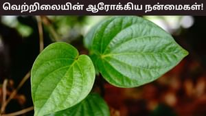 Health Tips: வேண்டாமென்று வெறுக்கிறீர்களா..? மிஸ் பண்ணிடாதீங்க! ஆரோக்கியத்தை அள்ளி தரும் வெற்றிலை..!