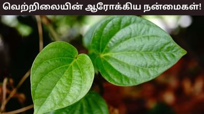 வேண்டாமென்று வெறுக்கிறீர்களா? ஆரோக்கியத்தை அள்ளி தரும் வெற்றிலை!