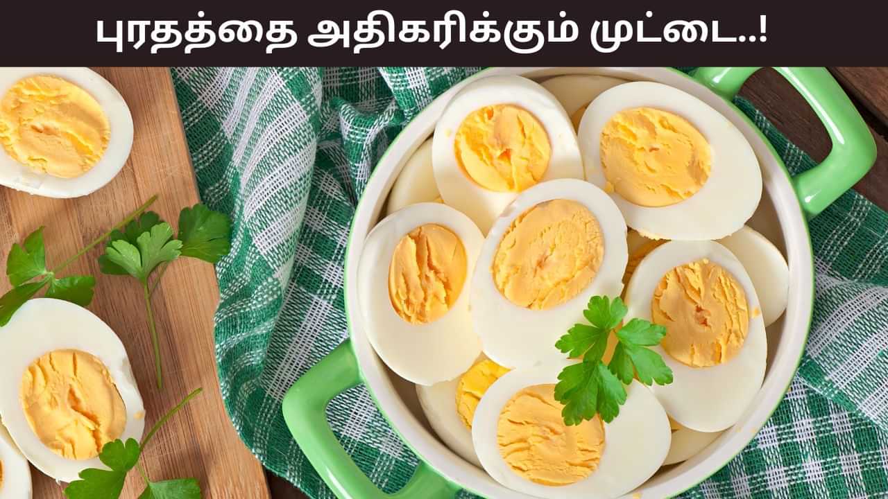 Health Tips: தினமும் ஒரு வேகவைத்த முட்டை.. சரியாகும் புரதச்சத்து குறைபாடு..! Health Tips: தினமும் ஒரு வேகவைத்த முட்டை.. சரியாகும் புரதச்சத்து குறைபாடு..!