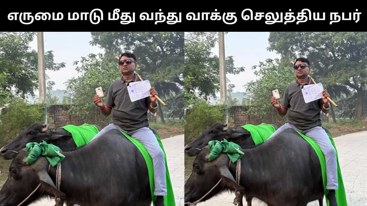 Viral Video : பீகாரில் எருமை மாடு மீது வந்து வாக்கு செலுத்திய நபர்.. வைரல் வீடியோ! Viral Video : பீகாரில் எருமை மாடு மீது வந்து வாக்கு செலுத்திய நபர்.. வைரல் வீடியோ!