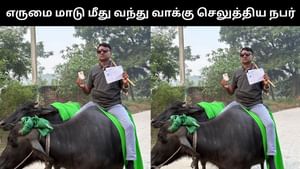 Viral Video : பீகாரில் எருமை மாடு மீது வந்து வாக்கு செலுத்திய நபர்.. வைரல் வீடியோ!