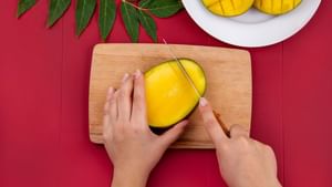 Health Tips: சர்க்கரை நோயாளிகள் மாம்பழம் சாப்பிடலாமா? இரத்த சர்க்கரையை அதிகரிக்குமா? Health Tips: சர்க்கரை நோயாளிகள் மாம்பழம் சாப்பிடலாமா? இரத்த சர்க்கரையை அதிகரிக்குமா?