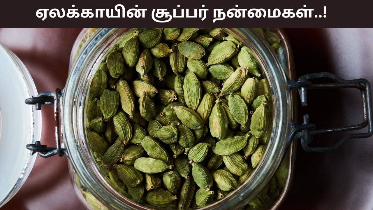 Health Tips: ஒரே ஒரு ஏலக்காயில் இத்தனை நன்மைகளா? இனி ஆரோக்கியம் அள்ளும்!