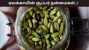Health Tips: ஒரே ஒரு ஏலக்காயில் இத்தனை நன்மைகளா? இனி ஆரோக்கியம் அள்ளும்!