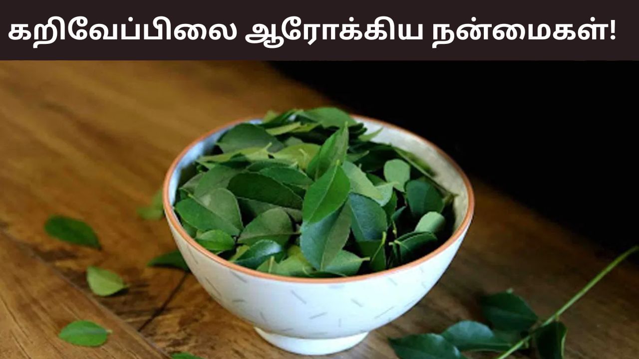 Health Tips: முடி முதல் அடி பாதம் வரை.. நங்கூரமாய் நின்று ஆரோக்கியம் தரும் கறிவேப்பிலை..! Health Tips: முடி முதல் அடி பாதம் வரை.. நங்கூரமாய் நின்று ஆரோக்கியம் தரும் கறிவேப்பிலை..!