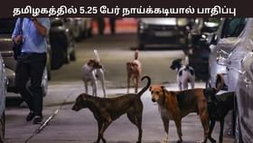 தமிழகத்தில் தற்போது வரை 5.25 லட்சம் பேர் நாய்க்கடியால் பாதிப்பு.. சுகாதார துறை வெளியிட்ட ஷாக் ரிப்போர்ட்.....