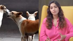 நாய்களை சுதந்திரமாக விட வேண்டும்…. அது அரசின் கடமை – அரசுக்கு நிவேதா பெத்துராஜ் கோரிக்கை...