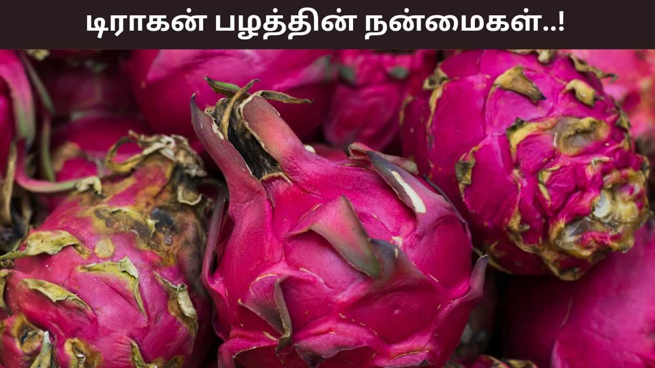 Health Tips: உடலுக்கு எப்போதும் புத்துணர்ச்சி.. டிராகன் பழத்தின் பல்வேறு நன்மைகள்..!