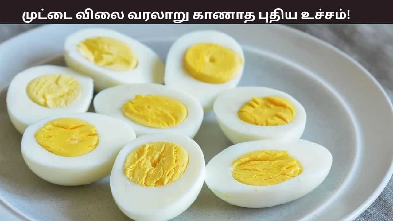 முட்டை விலை இதுவரை காணாத புதிய உச்சம் - 50 ஆண்டுகால வரலாற்றில் இதுவே அதிகம் - காரணம் என்ன? முட்டை விலை இதுவரை காணாத புதிய உச்சம் - 50 ஆண்டுகால வரலாற்றில் இதுவே அதிகம் - காரணம் என்ன?