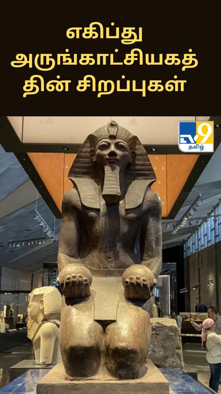 எகிப்து அருங்காட்சியகத்தின் சிறப்புகள்