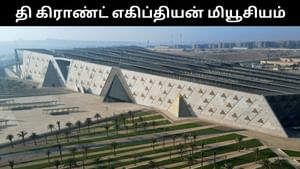 எகிப்தில் 20 ஆண்டுகளாக கட்டப்பட்டு வந்த பிரம்மாண்ட அருங்காட்சியகம் திறப்பு.. அப்படி என்ன சிறப்புகள் உள்ளன? எகிப்தில் 20 ஆண்டுகளாக கட்டப்பட்டு வந்த பிரம்மாண்ட அருங்காட்சியகம் திறப்பு.. அப்படி என்ன சிறப்புகள் உள்ளன?