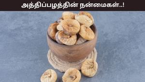 Health Tips: எலும்பு ஆரோக்கியத்தை வலுப்படுத்தும் அத்திப்பழங்கள்.. எப்படி எடுத்துக்கொள்வது நல்லது..? Health Tips: எலும்பு ஆரோக்கியத்தை வலுப்படுத்தும் அத்திப்பழங்கள்.. எப்படி எடுத்துக்கொள்வது நல்லது..?