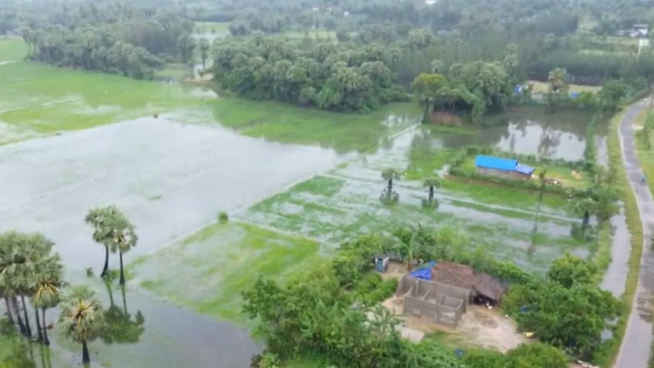 தித்வா புயலால் கொட்டித் தீர்த்த கனமழை.. நாகையில் குடியிருப்புகளில் இருந்து பொதுமக்கள் வெளியேற்றம்!