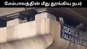 Viral Video : மேம்பாலத்தின் மீது படுத்திருந்த நபர்.. இணையத்தில் வைரலாகும் வீடியோ! Viral Video : மேம்பாலத்தின் மீது படுத்திருந்த நபர்.. இணையத்தில் வைரலாகும் வீடியோ!