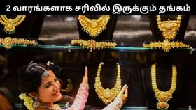 Gold Price : இரண்டு வாரங்களாக சரிவில் இருக்கும் தங்கம்.. முதலீடு செய்ய இது சரியான நேரமா?...
