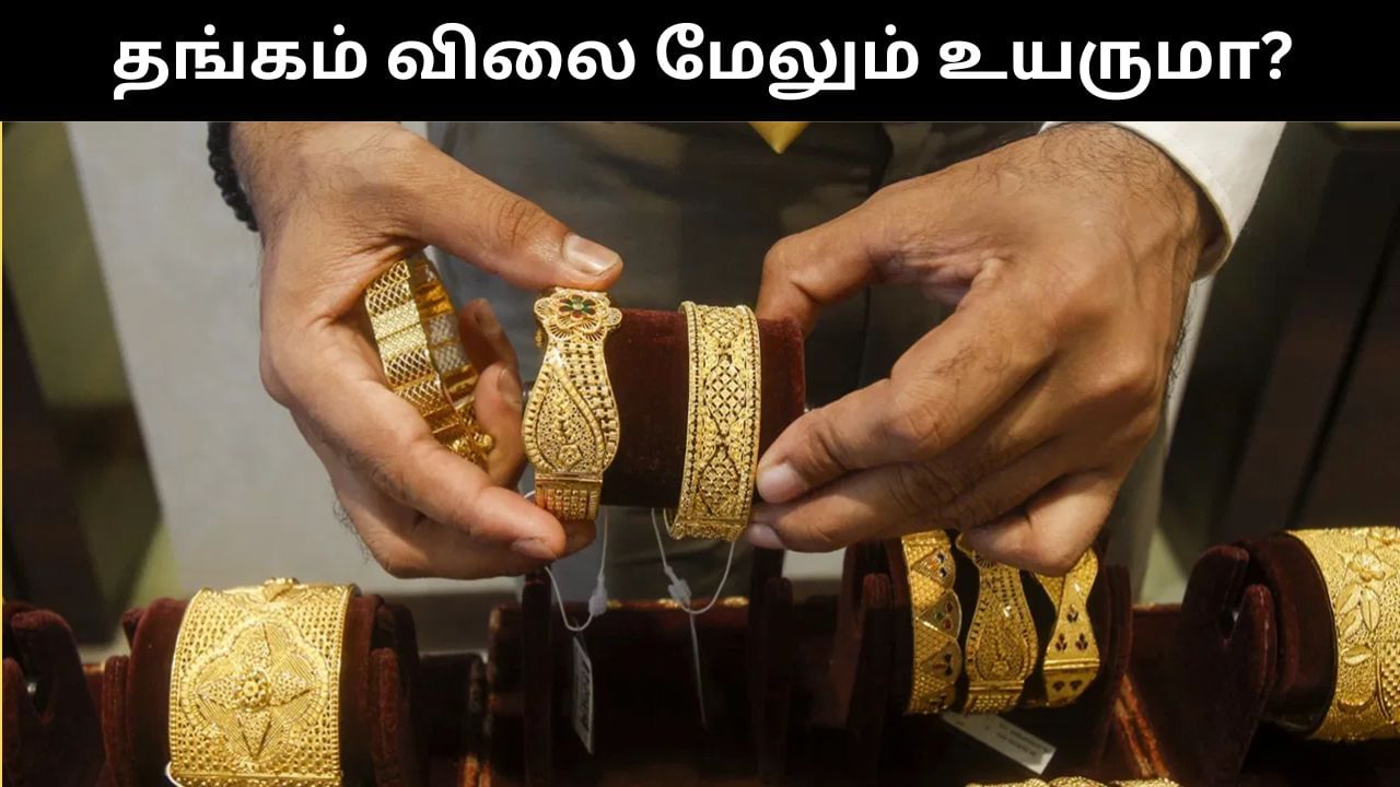 Gold Price : மீண்டும் எழ தொடங்கிய தங்கம்.. இனி வரும் காலங்களில் மேலும் விலை உயருமா?