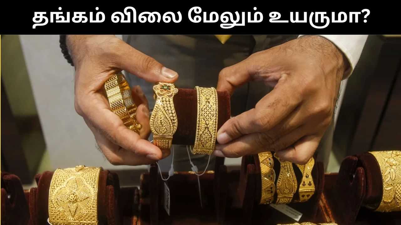 Gold Price : மீண்டும் எழ தொடங்கிய தங்கம்.. இனி வரும் காலங்களில் மேலும் விலை உயருமா?