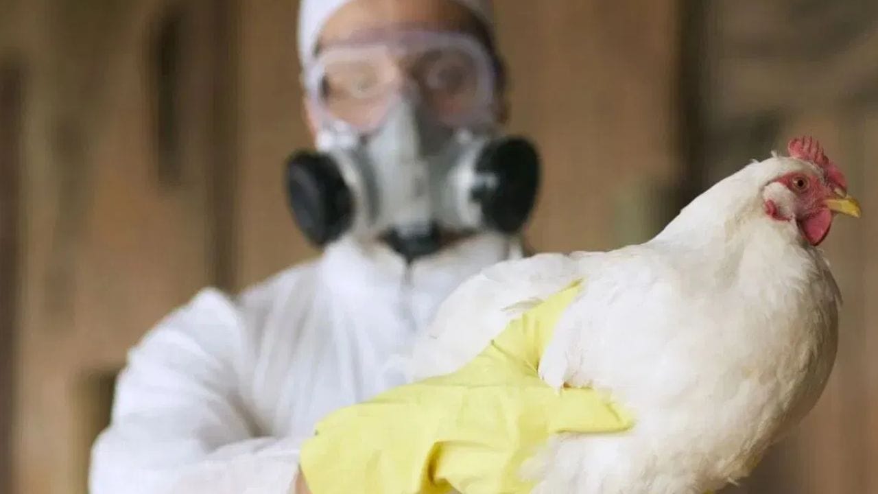 புது வைரஸ் அபாயம்.. கொரோனாவை விட ஆபத்து.. எச்சரிக்கும் மருத்துவர்கள்!