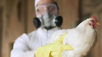 புது வைரஸ் அபாயம்.. கொரோனாவை விட ஆபத்து.. எச்சரிக்கை இதோ