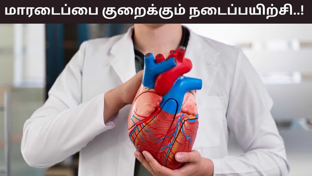 Heart Attack: 40% மாரடைப்பை குறைக்கும் நடைமுறை.. தினமும் சாப்பிட்டு இதை செய்தால் போதும்! Heart Attack: 40% மாரடைப்பை குறைக்கும் நடைமுறை.. தினமும் சாப்பிட்டு இதை செய்தால் போதும்!