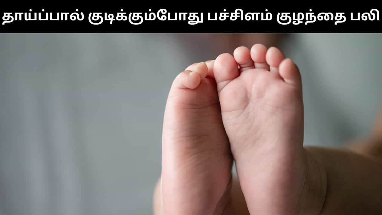 தாய்ப்பால் குடிக்கும்போது நடந்த விபரீதம்.. பரிதாபமாக பலியான 2 நாட்களே ஆன பெண் குழந்தை! தாய்ப்பால் குடிக்கும்போது நடந்த விபரீதம்.. பரிதாபமாக பலியான 2 நாட்களே ஆன பெண் குழந்தை!