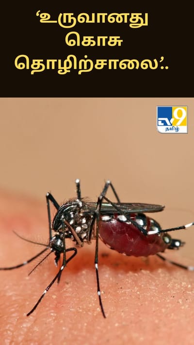 ‘உருவானது கொசு தொழிற்சாலை’.. டெங்குக்கு எதிராக மக்களை பாதுகாக்க புதிய திட்டம்!!
