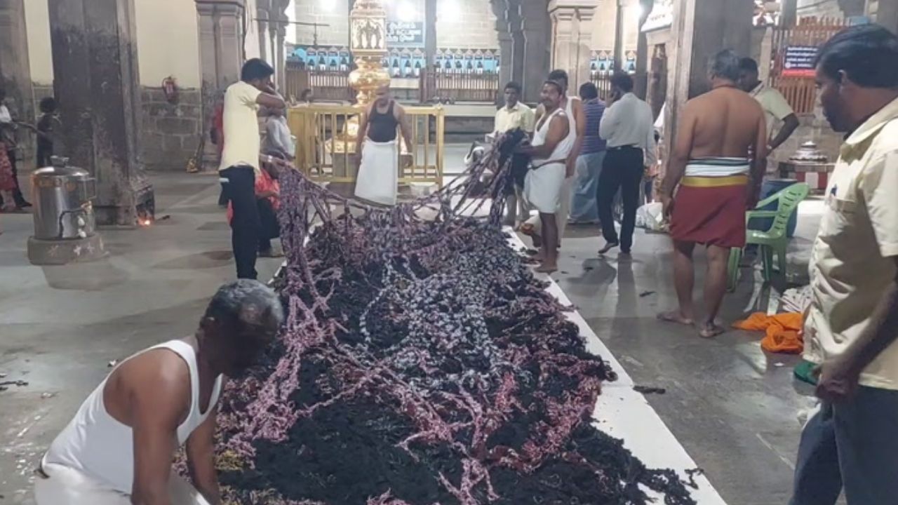 திருச்சி தாயுமானசுவாமி கோயிலில் கார்த்திகை தீபம்.. ஏற்பாடுகள் தீவிரம்! திருச்சி தாயுமானசுவாமி கோயிலில் கார்த்திகை தீபம்.. ஏற்பாடுகள் தீவிரம்!