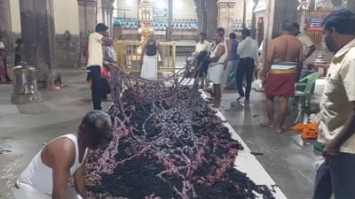 திருச்சி தாயுமானசுவாமி கோயிலில் கார்த்திகை தீபம்..!