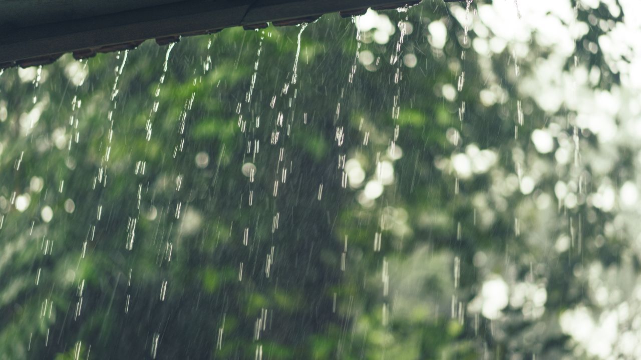 Monsoon Tips: மழைக்காலத்தில் வீட்டை இப்படி பாரமரிங்க.. எதிர்கால சிக்கலை தடுக்கலாம்!