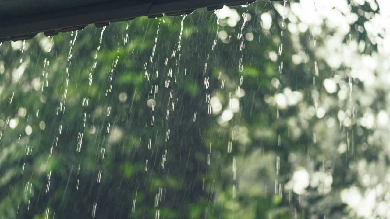 Monsoon Tips: மழைக்காலத்தில் வீட்டை இப்படி பாரமரிங்க.. எதிர்கால சிக்கலை தடுக்கலாம்! Monsoon Tips: மழைக்காலத்தில் வீட்டை இப்படி பாரமரிங்க.. எதிர்கால சிக்கலை தடுக்கலாம்!